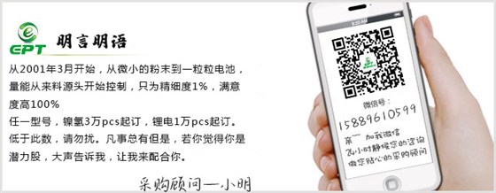 鋰離子電池廠(chǎng)家